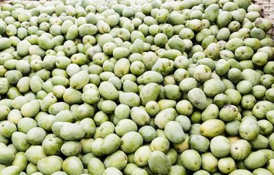 Nepal clarifies: No ban on Indian mango imports, only phytosanitary measures enforced