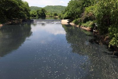 Police asked to find Saraburi canal polluters
