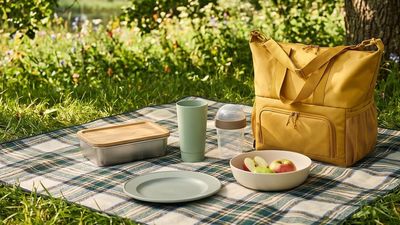 IKEA's understated picnic set is the classiest I've seen, as well as being practical and cheap — I'm not surprised it's selling fast
