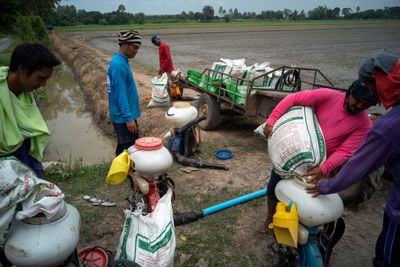 Thai farm debt crisis a test for Anutin government