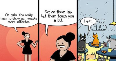 47 New ‘War And Peas’ Comics Filled With Unexpected Punchlines And Darkly Clever Humor