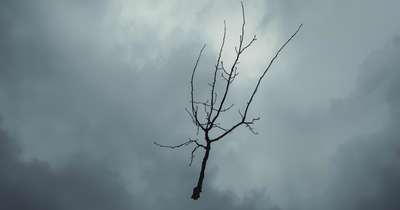 Texas Man Noticed a Floating Tree Branch: What Does This Mean? Mysterious Footage Sparks Urgent Debate Online