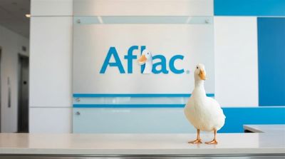 The “Duck Stock” Keeps Quietly Making Money for Shareholders