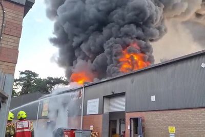 Crews called to blaze at Hertfordshire play centre as entire exotic zoo collection killed