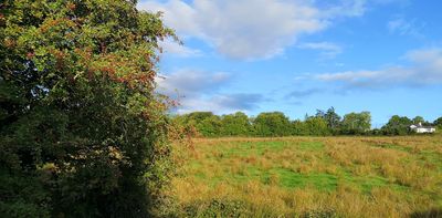 Farmers are key to restoring native woodlands – here’s what’s holding them back
