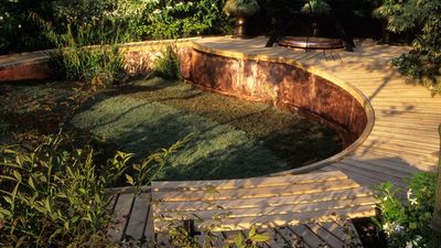 Every Designer Agrees Lawns Are Outdated — 5 No-Effort Plants That Create a 'Living Rug' for a Modern Garden