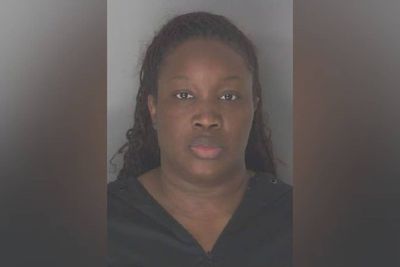 Disturbing details emerge in case of mom arrested over death of 1-year-old son forced to eat roaches and ants