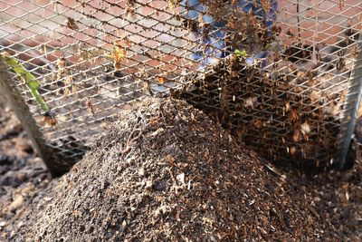 7 Things You Should Never Put in Your Compost Bin