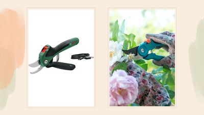 Say goodbye to aching hands – these power-assisted secateurs make pruning easier than ever before
