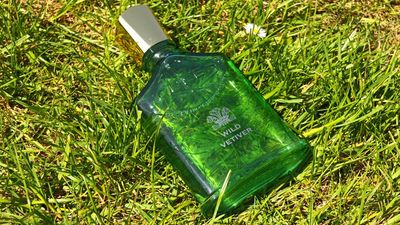 I tested Creed Wild Vetiver – this aromatic scent continues to surprise me