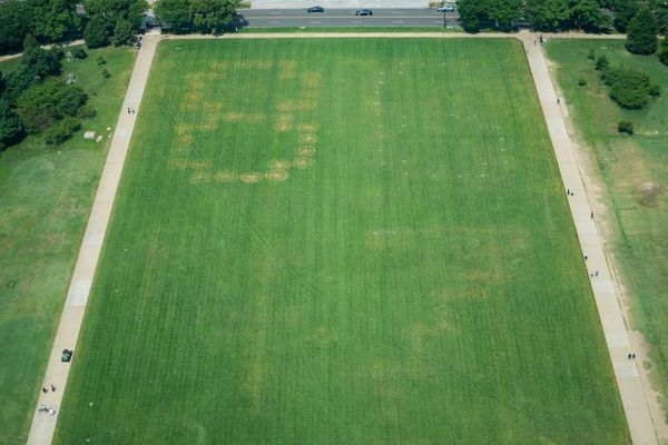 US authorities investigate huge etching of ‘8647’ on National Mall grounds