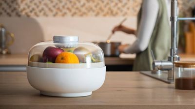 Vitesy’s new food waste gadget keeps your fruit fresher for longer – and there’s no power involved