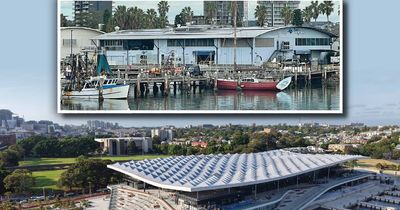 'Newcastle doesn't need spectacular': like a bucket of prawns in the sun, this stinks