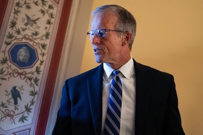 Senate plans fast action on Trump’s DNI pick