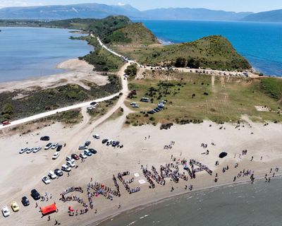 ‘The birds will fly away’: can Albania’s flamingo revolution keep its wetlands free from Trumps and tourists?