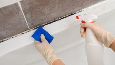 Forget bleach — this one kitchen item will remove mold on silicone sealant instantly