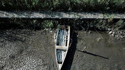 Hungary’s third-largest lake is disappearing. Can experts save it before it’s too late?