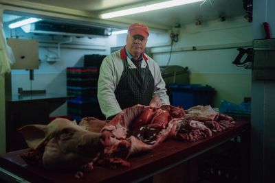 TV tonight: a hugely entertaining series about the Roswell alien autopsy
