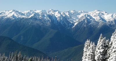 Remains in Sleeping Bag Finally Get a Name and Cause of Death, Solving 26-Year Olympic National Park Mystery