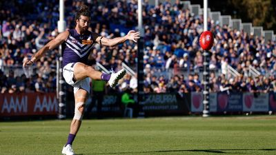 Flag dreams? Dockers trying to keep things grounded