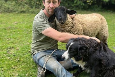 Farmer ‘mind-boggled’ after border collie dog rounding up sheep reported to RSPCA