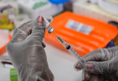 Whooping Cough Is Still Killing Americans in 2026, and California, Washington, Ohio, and Florida Are Leading a Surge That Is Far from Over