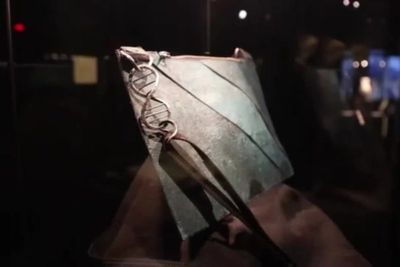 ‘T-rex leather’ handbag made with collagen from dinosaur fossil goes up for auction