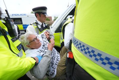 Palestine Action: Activists jailed as over 100 arrested at sentencing protest