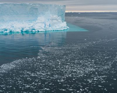 Antarctica’s west coast missing an area of sea ice the size of France as temperatures peak 20C above average