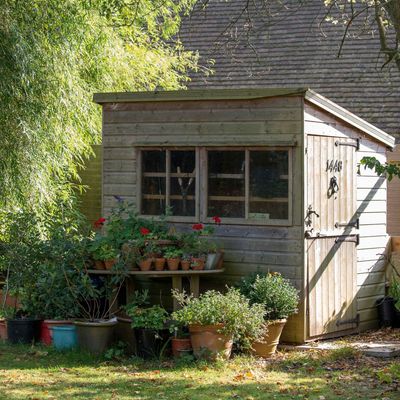 North-facing garden ideas – 18 ways to guarantee a productive green space that's perfect for planting and hosting