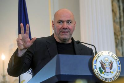The rise of UFC: Dana White's path from 'human cockfighting' to the White House starts with Trump