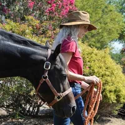 Martha Faraday of Four Oaks Equine Nutrition: Rethinking Equine Health Through Food and Whole Systems