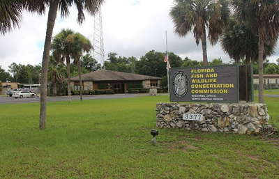 ICE Expands Florida Partnerships, Adding Fish and Wildlife Commission to Immigration Efforts