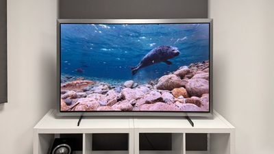 Samsung S99H (QE55S99H)