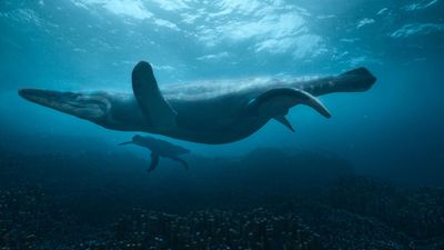 How Unreal Engine and Houdini power the VFX of Surviving Earth