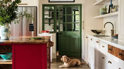 How to Choose The Right Kitchen Color Scheme – An Expert Guide to Picking a Palette That Will Last For Decades