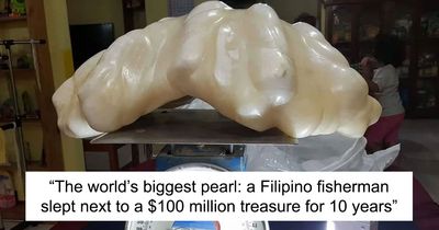 ‘The Weird Unknown’: 79 Creepy, Weird, And Intriguing Facts About The Ocean (New Pics)