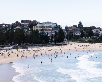 Woman in critical condition after shark attack at Coogee beach