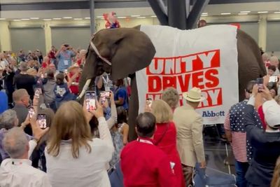 ‘They did it again’: Texas GOP brings a real elephant to a convention - as people believe another Simpsons prediction has been fulfilled