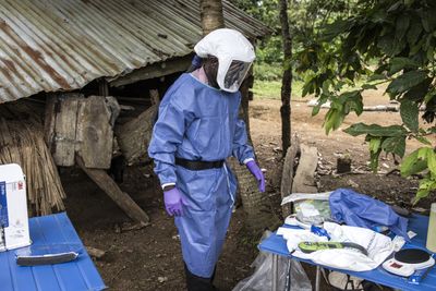 Lassa Fever Nigeria 2026: 663 Confirmed Cases, 167 Deaths, 25 Percent Fatality Rate as US Healthcare Experts Issue Urgent Warning to Travelers
