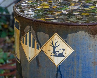 ‘Fast-track’ regulation could expose Britons to harmful chemicals, say campaigners