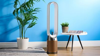 Dyson’s 2-in-1 purifier fan is the perfect way to beat the summer heat — except for one major flaw