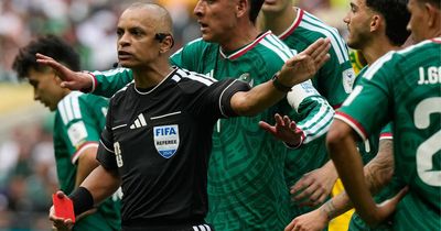 Reasons for FIFA snubbing Scotland's top referees for the World Cup finals revealed