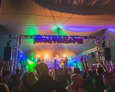 ‘We eat and drink risk’: higher costs bring curtain down on more UK music festivals