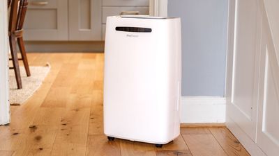 I spent 6 months testing this 50-pint dehumidifier — it wasn't quite what I expected
