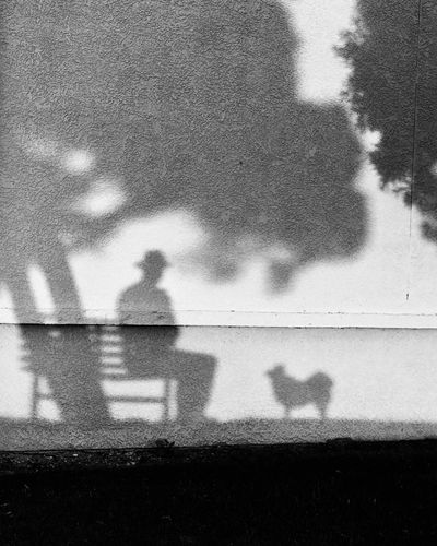 ‘It reminds me of the love I felt for my faithful companion’: Tony Hertz’s best phone picture
