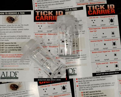Rocky Mountain Spotted Fever Kills Within Days and Is Frequently Mistaken for Flu — Tick Season 2026 Is a Critical Window to Know the Warning Signs