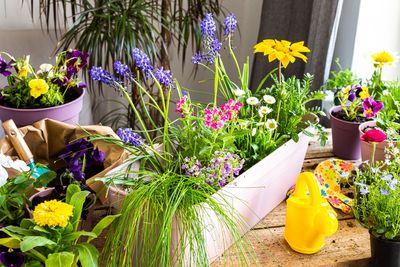 Why Container Gardening Is Booming Among Apartment Renters