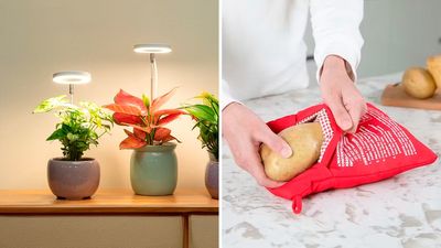 75 Weird, Cheap Things That Are So Brilliant
