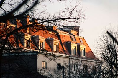 Construction Workers in Poland Find Remains of 29 Unborn Babies, Leading to the Arrest of a Pathologist